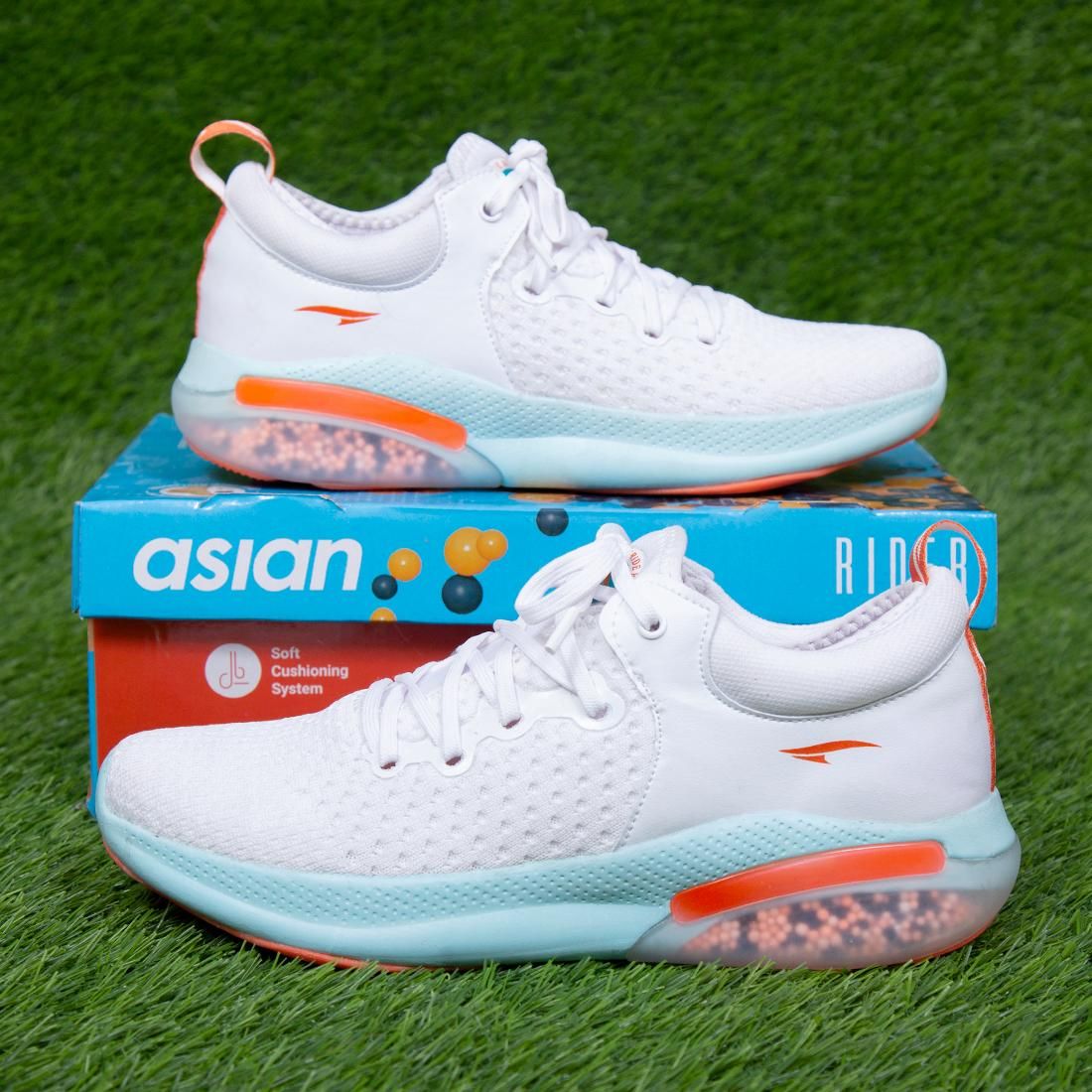 Asian Rider-01 Sky Sports Shoes Roposo Clout